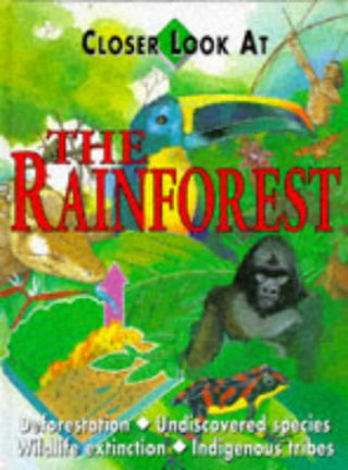 Closer Look at the Rainforest