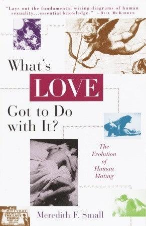 What's Love Got to Do with It? : The Evolution of Human Mating