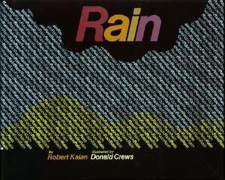 Rain: A Bold Concept Book About Weather and Colors for Kids