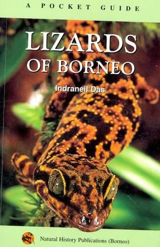 Lizards Of Borneo - Thryft