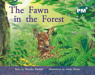 The Fawn in the Forest
