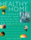 Healthy Home: A Practical and Resourceful Guide to Making Your Own Home Fit for Body, Mind and Spirit