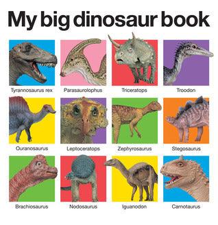 My Big Dinosaur Book - Thryft