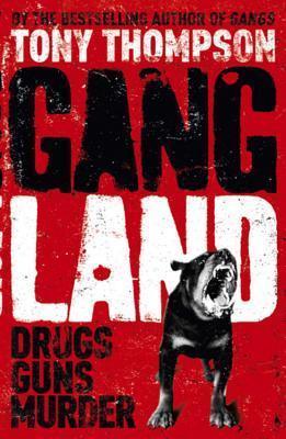 Gangland: From Footsoldiers to Kingpins, the Search for MR Big - Thryft