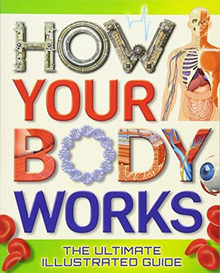 How Your Body Works : The Ultimate Illustrated Guide - Thryft