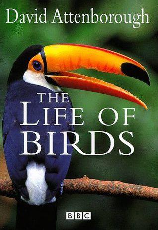 The Life of Birds - Thryft