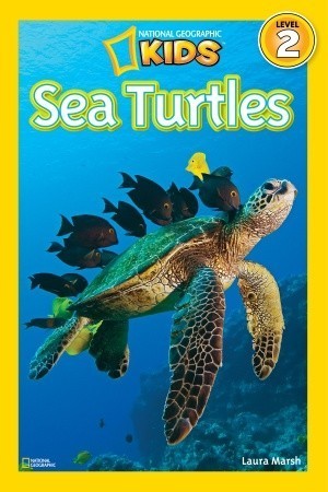 Sea Turtles - National Geographic Kids Level 2