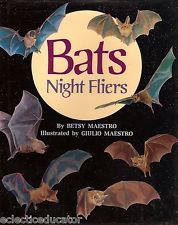 Bats - Night Fliers