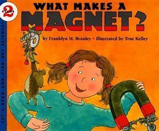 What Makes a Magnet? - Thryft