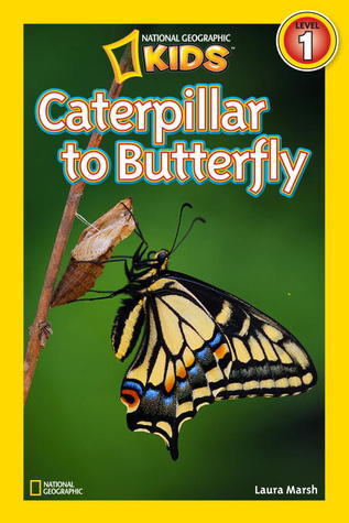 Caterpillar to Butterfly - National Geographic Readers