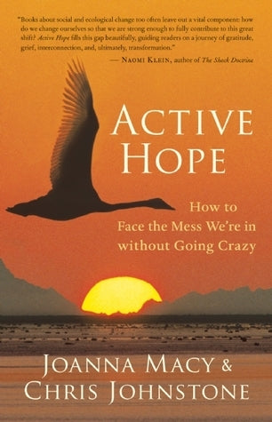 Active Hope : How to Face the Mess We're in without Going Crazy