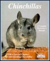 Chinchillas: How to Take Care of Them and Understand Them