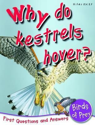 Why Do Kestrels Hover? - First Questions and Answers