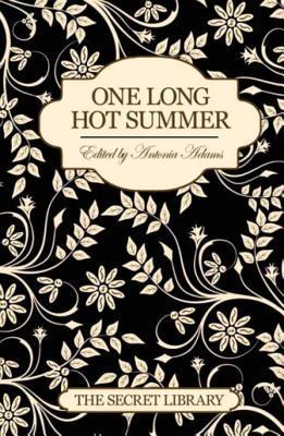 One Long Hot Summer : The Secret Library