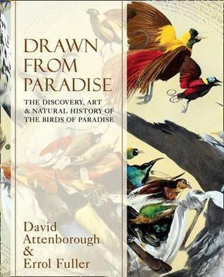 Drawn From Paradise : The Discovery, Art and Natural History of the Birds of Paradise - Thryft