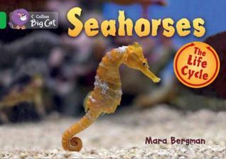 Seahorses: The Life Cycle