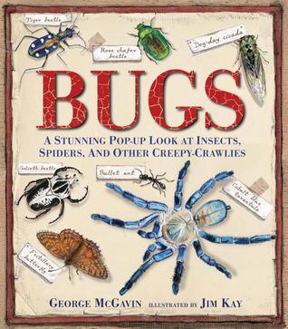 Bugs : A Stunning Pop-up Look at Insects, Spiders, and Other Creepy-Crawlies - Thryft