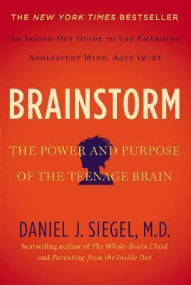 Brainstorm : The Power and Purpose of the Teenage Brain - Thryft