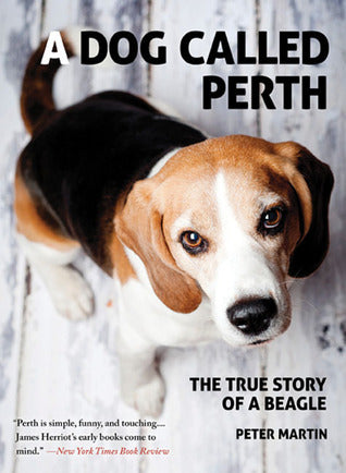 A Dog Called Perth - The True Story Of A Beagle