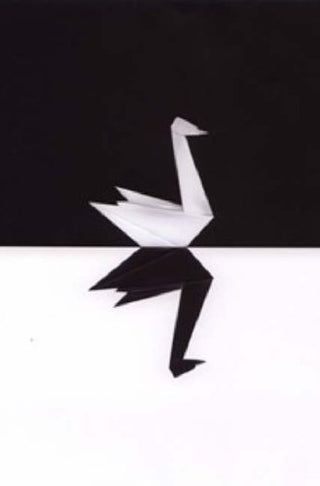 The Black Swan: The Impact of the Highly Improbable