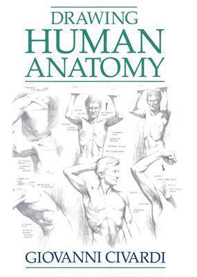 Drawing the Human Anatomy - Thryft