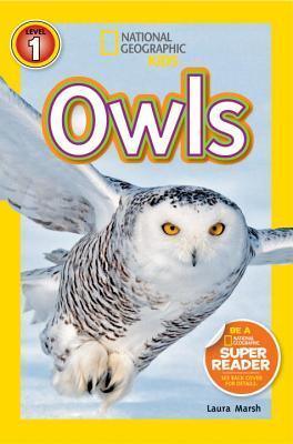 Owls - Thryft