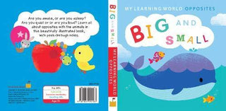 My Learning World: Opposites Big & Small