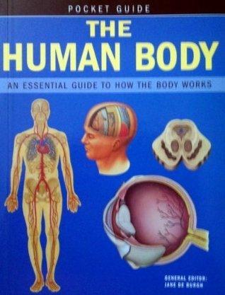 The Human Body : An Essential Guide to How the Body Works - Thryft