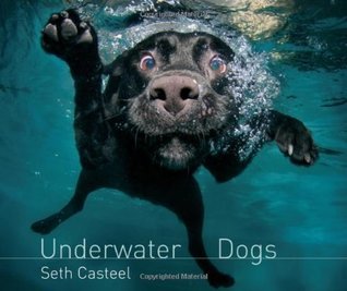 Underwater Dogs