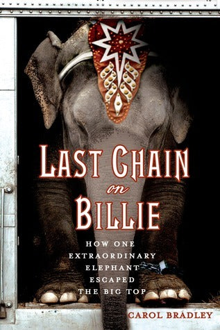 Last Chain on Billie