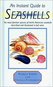 An Instant Guide to Seashells