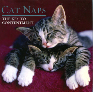 Cat Naps - The Key To Contentment