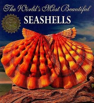 The World's Most Beautiful Seashells - Thryft