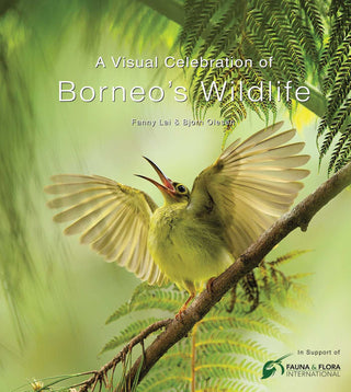 A Visual Celebration of Borneo's Wildlife