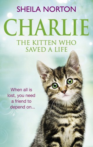 Charlie: The Kitten Who Saved a Life