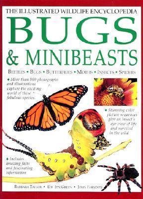 Bugs & Minibeasts - Thryft