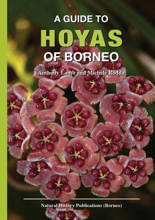 A Guide to the Hoyas of Borneo - Thryft