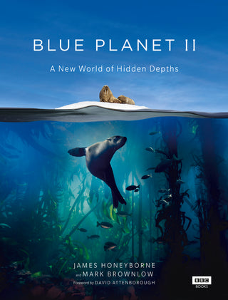 Blue Planet II - A New World Of Hidden Depths