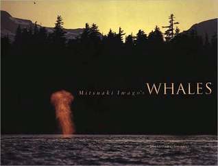 Mitsuaki Iwago's Whales