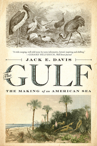 The Gulf: The Making of an American Sea