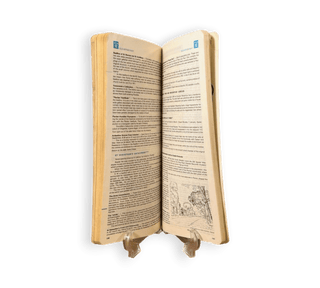 A Collection of Michelin Guides: Rome, México, Switzerland