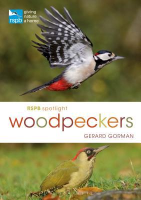 RSPB Spotlight Woodpeckers