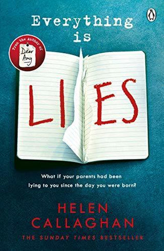 Everything Is Lies : From the Sunday Times bestselling author of Dear Amy - Thryft