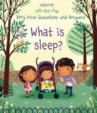 What Is Sleep? - Usborne Lift-the-Flap Very First Questions and Answers