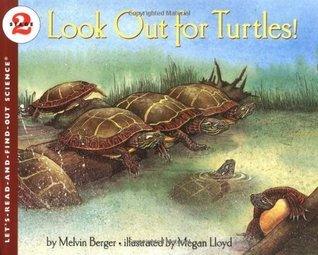 Look Out For Turtles! - Thryft
