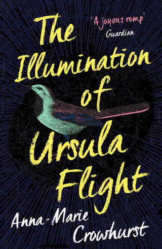 The Illumination Of Ursula Flight - Thryft