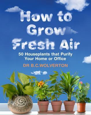 How To Grow Fresh Air : 50 Houseplants That Purify Your Home Or Office - Thryft