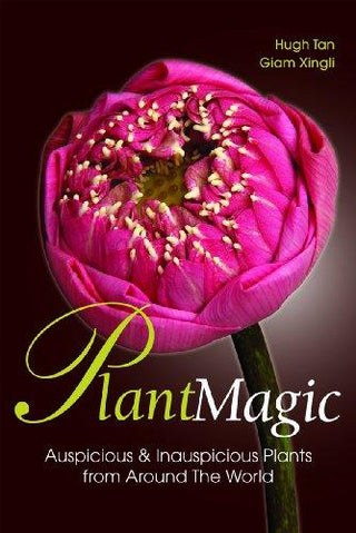 Plant Magic - Thryft