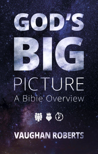 God's Big Picture : A Bible Overview