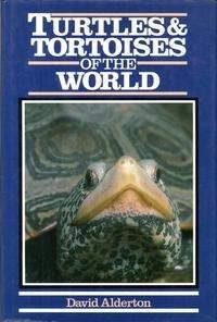 Turtles and Tortoises of the World - Thryft